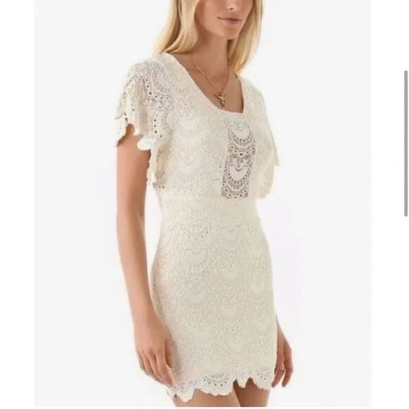 NIGHTCAP Lace Fitted Mini Dress NWT Sz 2 - Picture 1 of 5